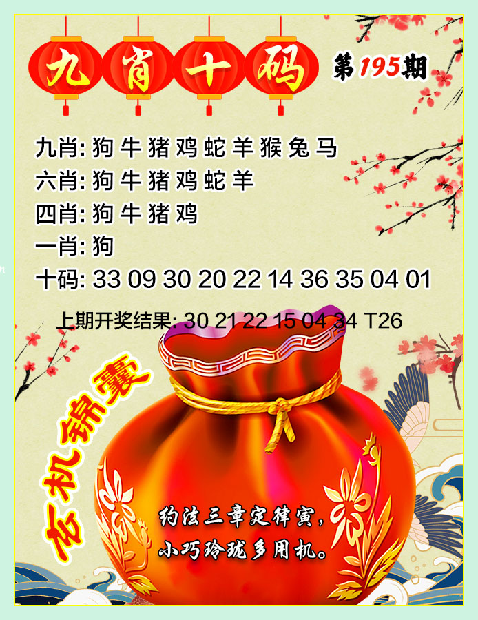 九肖十码